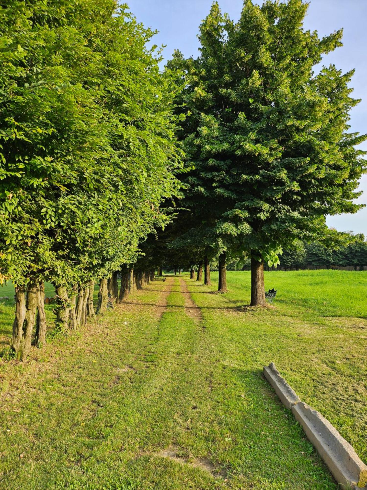 Antico Borgo Di Liteggio Bed and Breakfast Cologno al Serio Eksteriør billede
